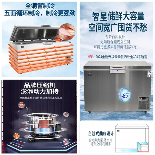 Zhixing (ZX) Freezer de temperatura ultra baja menos 60 grados de sashimi horizontal Hogar comercial Deep Freezer de pesca de mar Atubo Almacenamiento de acero inoxidable Investigación biológica industrial Refrigerador grande DW-695 (-45) 1.95 metros de largo