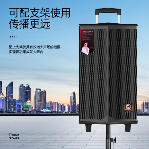 MALONE Outdoor Square Dance Portable Trolley Speaker with Wireless Bluetooth Microphone Live Broadcast Karaoke Guitar Playing and Singing Speaker K-408 Inch Standard Configuration + 2 Original Microphones + Gift Pack Ultimate Edition