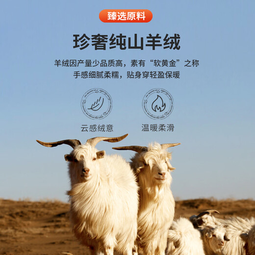 Antonio Cloud Touch & 100% Cashmere Henley Collar Cashmere Sweater Men's Autumn and Winter Warm Skin-Friendly Basement Sweater