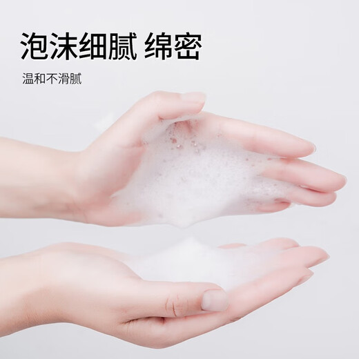 Haishi Hainuo Naturseife, phosphatfreies Haushalts-Händedesinfektionsmittel, 500 ml, 2 Flaschen, antibakteriell, Dekontamination, Reinigung, rutschfest, für Kinder und Erwachsene