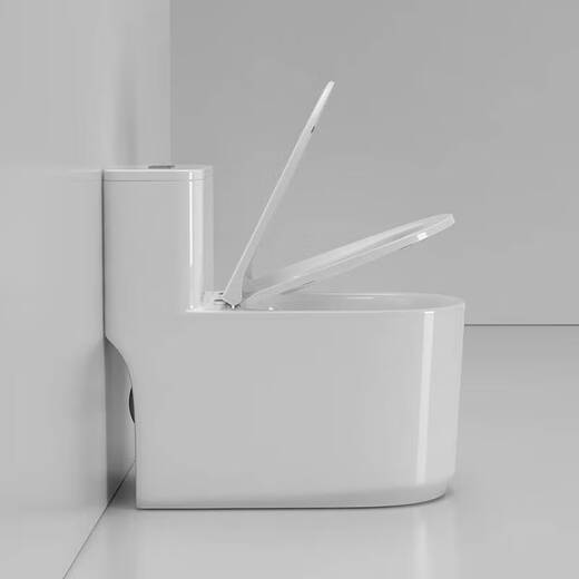 Hangzhou Jing Badezimmer Toilettengeruchssicherer und gegen blockierendes großes Gewalt einteiliger Toilettenhaustoilette 6172 Grube Entfernung 300/400 mm, Bestellung Hinweis