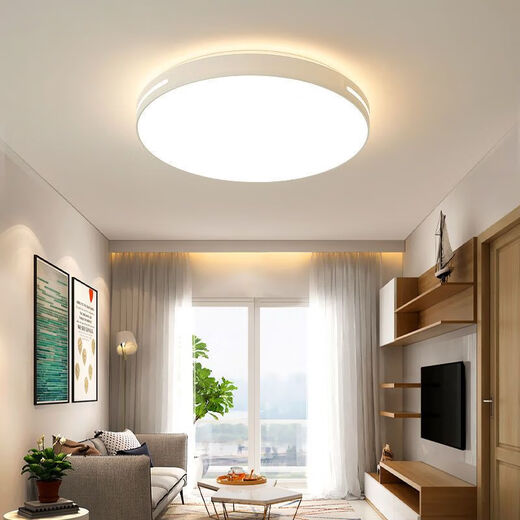 Micro-LED ceiling lamp round remote control atmospheric living room lamp modern simple bedroom lamp balcony lamp restaurant lighting 40 cm in diameter white light 48 watts Camellia style