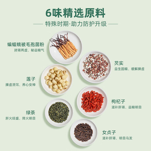 Kaution Huadong Medizin Kaution Cordyceps sinensis Tee, Pilzpulver verstärkt Immunität, Gesundheits -Tee, Nieren- und Lungengesundheits -Tee -Getränke 6 Kisten [Februar -Set, Zykluskonsolidierung]