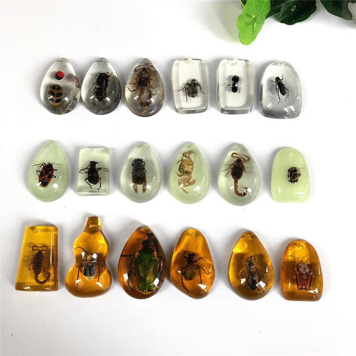 DR-FLVVS Fat Donglai quality insect amber specimen pendant made of blind box resin glue ornaments for primary school students and children's textbook teaching a transparent scorpion