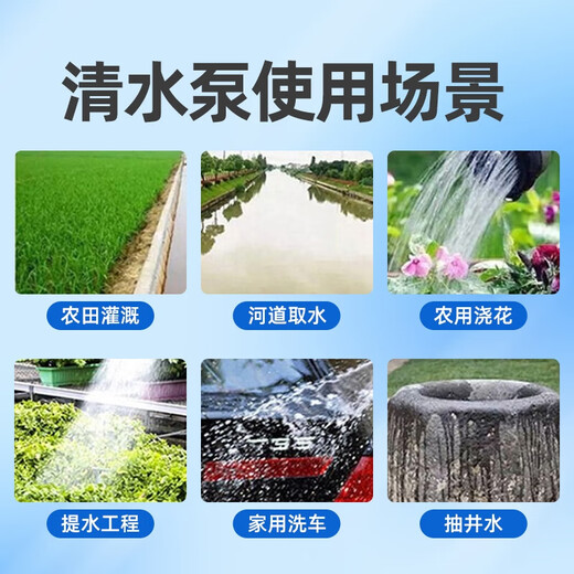 Delixi submersible pump 220v household small clean sewage pump high lift water pump large flow agricultural irrigation pump 370W-1 inch clean water pump bare metal