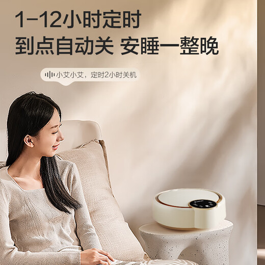 AIRMATE's purchasing and selling recommended water-heated blanket double electric mattress household temperature-adjusting dehumidification and mite removal water-heated blanket circulation mattress timed constant temperature electric blanket 1.8*1.5 meters TWDD05-07