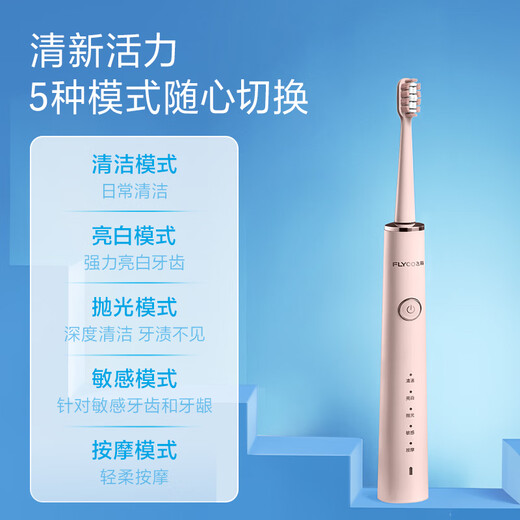 FLYCO Electric Toothbrush for Couples Adult Home Valentine's Day Gift for Men and Women Rechargeable Fully Automatic Sonic Vibration Soft-bristled Toothbrush FT7108 Zhaoxia Powder 2 Original Toothbrush Heads + Stand Charger