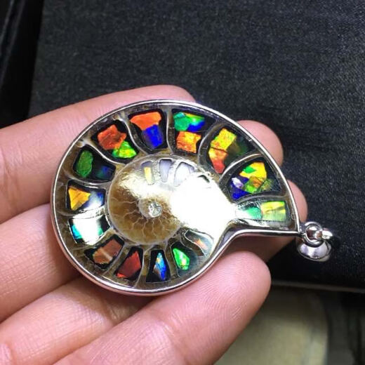 Antique Canadian Ammonite Conch Stone Pendant, around 33 to 38, with Ammonite Stone inlaid in the Conch.