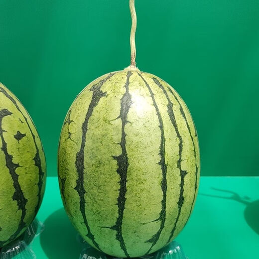 Jingyu's new product 2K small watermelon seeds, thin skin, few seeds, red flesh watermelon potted balcony fruit seeds, high yield, sown in all seasons, juicy and sweet, 2K watermelon, 10 pieces, original selection, 2 packs