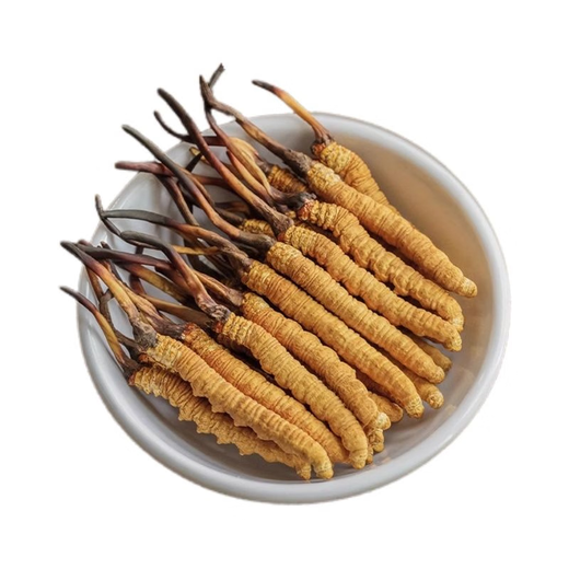 北京同仁堂【双十一活动入口】冬虫夏草虫草干货冬虫草夏虫草高 虫草10根