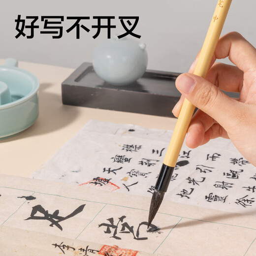Deli Baiyun brush and large Baiyun Zhongkai and Xiaokai student calligraphy and French painting special beginners entry brush running script small Baiyun brush school supplies