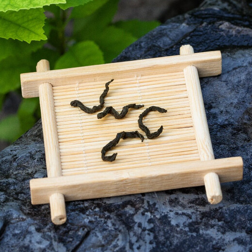 Shennong Jinkang Qingqian Liu Tea Suining tender leaves 50g non-special Qingqian Liu Zhangjiajie Qingqian Liu 50gx30/half-year card