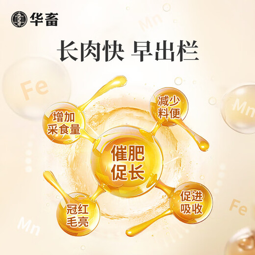 Chinese livestock pigs, fattening pigs, fattening animals, fattening treasure pigs, cattle and sheep, attracting food, promoting growth, piglet premix, poultry, fattening king