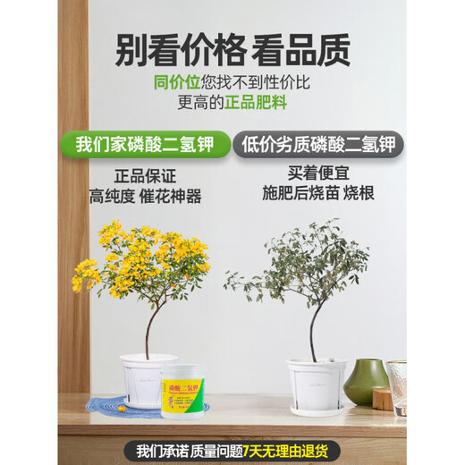 YWZR Potassium Dihydrogen Phosphate Fertilizer Flower Special Agricultural Plant Potted Flower-promoting Phosphorus Potassium Fertilizer Water-soluble Foliar Fertilizer Potassium Dihydrogen Phosphate 500g 4 cans Free Rooting Liquid + Vitality + Rooting Powder