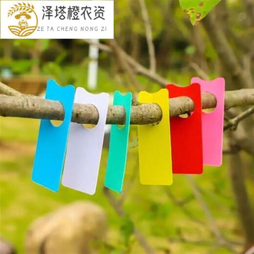 Plant mark mark mark mark watermelon card melon fruit watermelon brand label watermelon brand grape mark thickened grape watermelon card red pink 3000