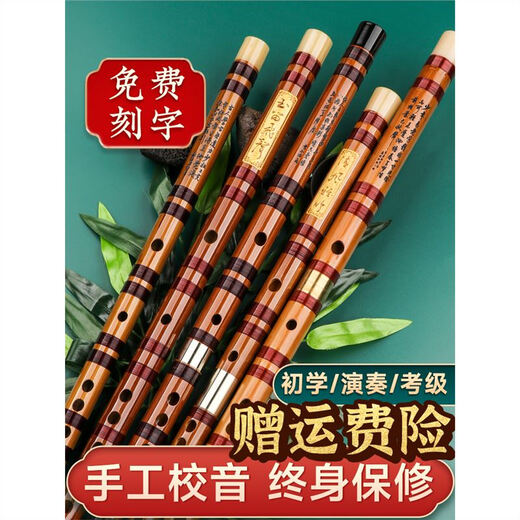 PTNOKA竹笛初学笛子者横笛乐器长笛儿童专业成人演奏小学生入门专用 F调【双管】初学【音色清脆】