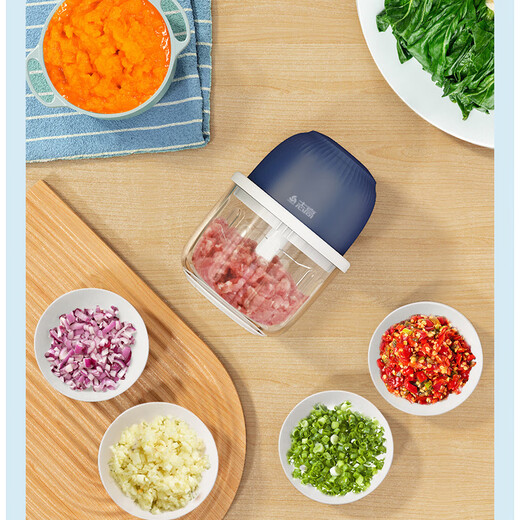 Panidi garlic masher, electric garlic pounder, kitchen household cooking machine, garlic masher, meat and ginger machine, flagship version powerful three-leaf knife 350ml glass