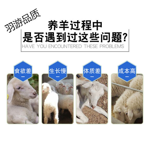 4 lamb premix lamb feed to increase fattening and meat growth of young lambs to supplement nutrition lamb special mixed feed 4 sheep general premix 4Jin Jin is equal to 0.5 kg Genuine