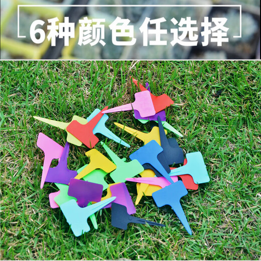 Garten-Sukkulente-Etikett, Gartenpflanze, Blumenname, Blumentopf, Kunststoff-Etikett, wasserfest, kleiner Einsatz, Sukkulententopf, zufällige Farbe, 100 Stück, kostenloser wasserfester Stift