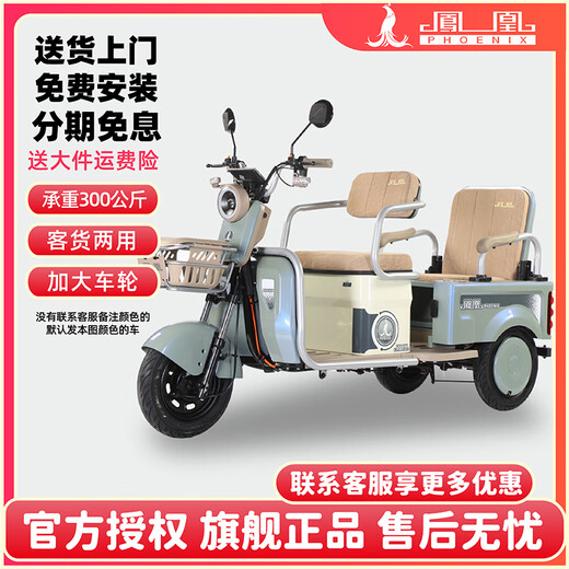 Phoenix Electric Tricycle Passenger and Cargo Dual-Purpose Electric Tricycle Small Bucket for Cargo Transport for the Elderly Electric Tricycle Fengming PLUS 650W48V12A Lead-Acid Battery About 20 Kilometers