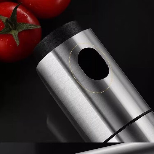 ZWILLING German spray bottle 304 stainless steel atomized oil bottle air fryer spray artifact household brand new stainless steel spray 100ml