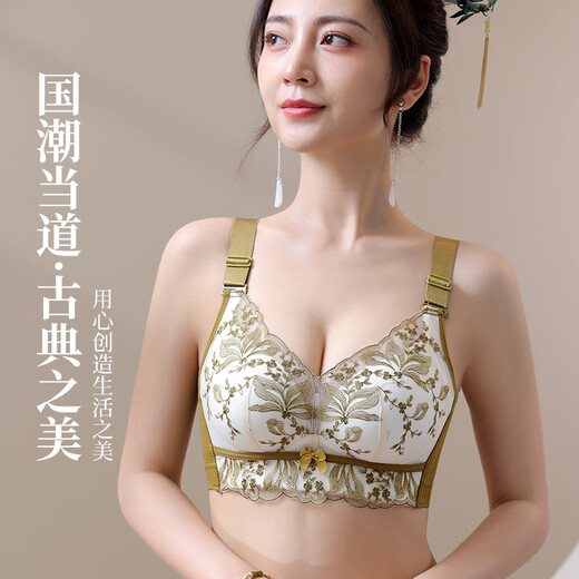 Nikita women's underwear for small breasts, push-up, auxiliary breast adjustment, thin at the top, thick at the bottom, embroidered lace, wire-free bra, champagne color 9929 90A B/40AB