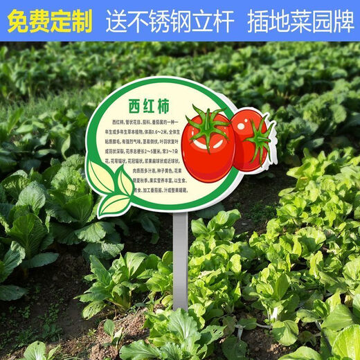Introduction to Vinoya vegetables, vegetable garden vegetable patch, vegetable signage, vegetable variety display board, introduction to vegetables and fruits, 20x30cm (smaller size) 01 type + free stainless steel pole and screws