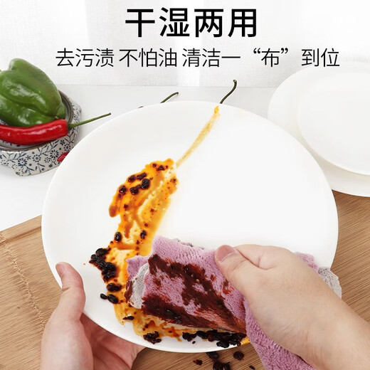 BEYYIT rag absorbent kitchen housework cleaning degreasing towel dishcloth household dishwashing towel not easy to stain oil dishcloth square style 25*25CM 20 pieces