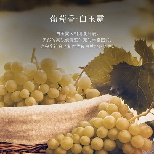 路易马西尼派斯顿法国进口洋酒XO白兰地40°烈酒（原酒进口）金葫芦·名酒 单支 1500mL 1瓶