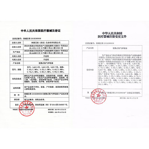 Airun German Linde Gas Pregnancy Oxygen Oxygen Cylinder Portable Oxygen Concentrator Oxygen Bag Can Special for Pregnant Women Oxygen Breathing Experience Model 1 Bottle 1000ml (Mask Type)