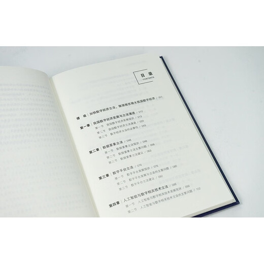 Gesetzgebung zur digitalen Wirtschaft