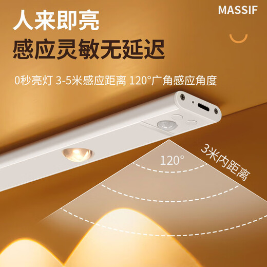 智特（ZT）人体感应灯带智能酒柜一灯三色玄关进门感应灯无线LED充电猫眼灯 60CM【常亮+人体感应+调光色】