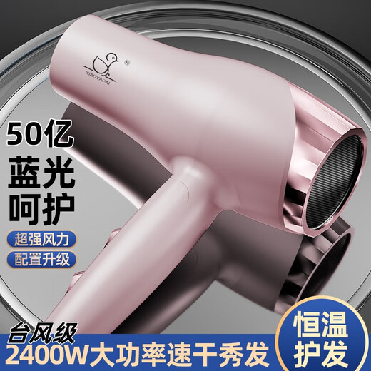 Xiaoya (XIAOYA) 2400W high-power hair salon hair dryer negative ion hair dryer blue light hair care folding hair dryer powerful high-speed large hair dryer King top version glory powder + 2000W + free air nozzle + foldable 4.5 billion blue light ion hair care typhoon-level wind movement