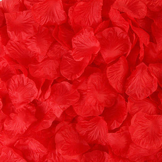 IXJSN Wedding Bed Decoration Simulated Rose Fake Petals Wedding Hand-Spreading Petals Birthday Confession Proposal Wedding Celebration Supplies Big Red (not the main picture, please place an order based on the quantity) 5 packages - about 500 pieces