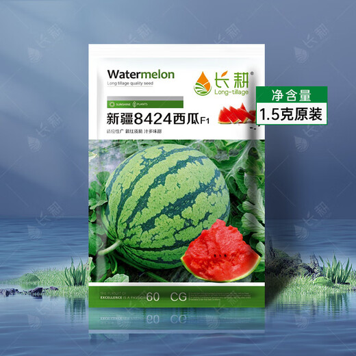 Changgong 8424 Rock Sugar Kirin Watermelon Seed Sweet King High Yield Kirin Lazy Man Seedless Giant Watermelon Four Seasons Fruit Seed Xinjiang 8424 Watermelon 1.5g, about 30 seeds