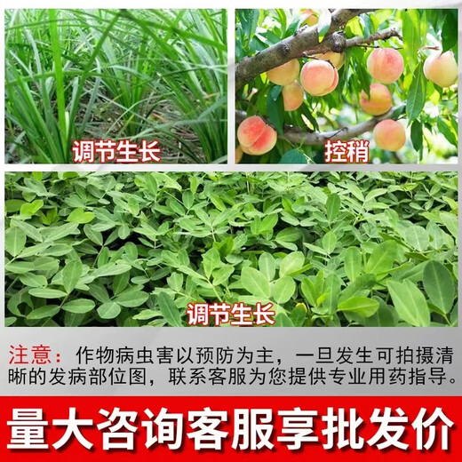 Guoguang Guoguang Jinmeirui 30% polyclonal plant dwarfing agent paclobutrazol inhibiting agricultural growth regulator 100g*10 bottles