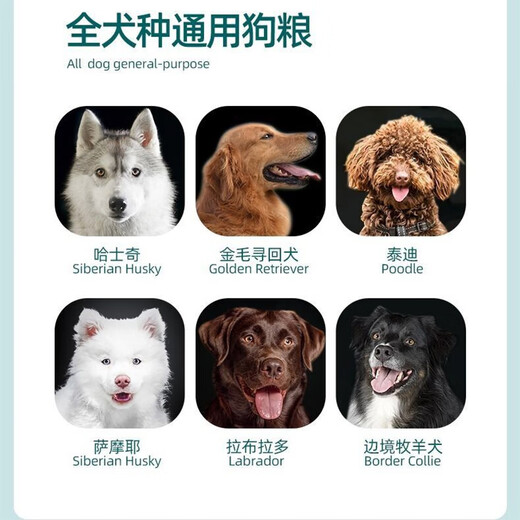 CLCEY Chinese Pastoral Dog Food Dog Girl General Beef Flavored Bulk Food 10 Jin Jin is equal to 0.5 kg. Packed into puppy native dog food 5 kg kg 0 kg dog food double combination 10 Jin Jin is equal to 0.5 kg