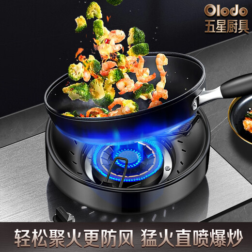 Olodo (Olodo) German 304 stainless steel gas stove windproof fire gathering cover gas energy-saving cover gas stove bracket stove shelf bracket double layer windproof fire gathering stove universal