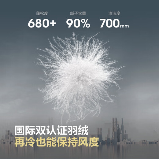 Bosideng (BOSIDENG) 25 new down jacket men's short 90 velvet fashion casual technology lightweight hooded winter jacket B250245247 Trend recommendation Stardust Gray 8F63 M 175/96A Weight about 130-140Jin Jin equals 0.5 kg