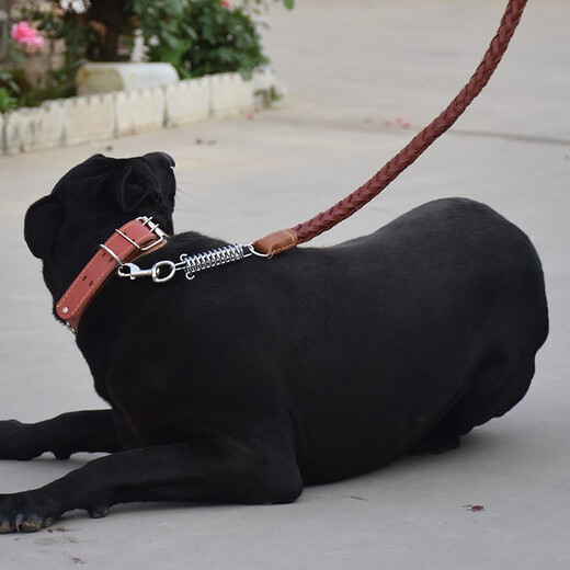 Medium and large dog leash cowhide dog chain golden retriever explosion-proof dog walking rope collar 3.5 black cowhide collar + leash set