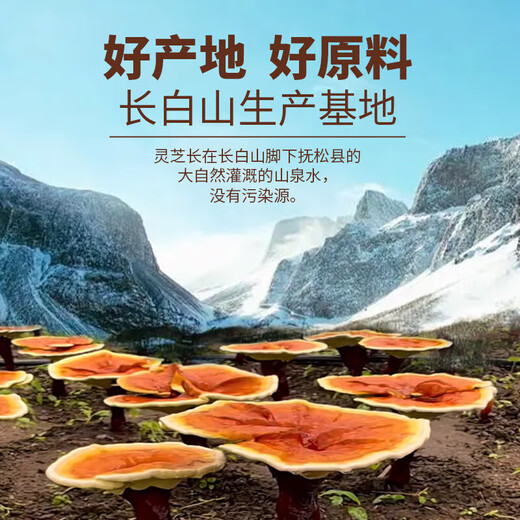 Luerniang Ganoderma-Sporenpulver stammt vom Berg Changbai. Gebrochenes Ganoderma-Sporenpulver, Bio-Geschenkbox für mittlere und ältere Menschen, Mittherbstfest-Geschenk, 2 Dosen Bio-Sporenpulver, insgesamt 500 g