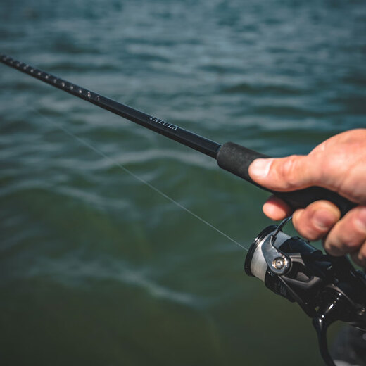 DAIWA DAIWA24 Neue TATULA XT Spider Bass Angelköderrute, Allzweckrute, Mikrospitzen, Weitwurfwurf, 682 m LFS (2,03 m, 2 Abschnitte, mittelweicher, verstellbarer Griff)