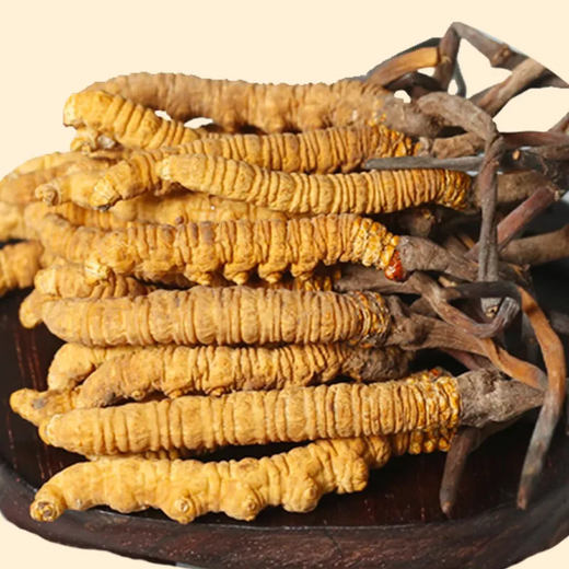 Beijing Tongrentang Quality Cordyceps Lhasa Shipping Authentic Cordyceps Gift Box Pack Broken Cordyceps Dry Garlic Gift Gift Boxes Gifts to Leader Optional Gift Box 30g Selected Big Broken Cordyceps [Preferred to soak in wine]