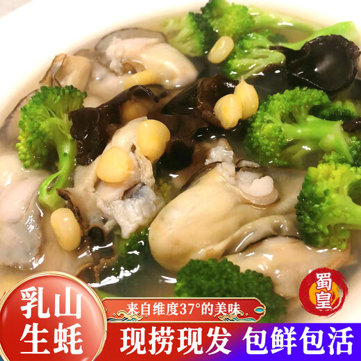 Shuhuang Rushan Oysters Fresh Large Seafood New Year Products 5Jin Jin is equal to 0.5kg, net weight 5XL (8-12 pcs), only shipped directly from the source, free shipping