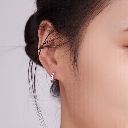 Liuguifu Jewelry PT950 Platinum Earrings Brilliant Platinum Earrings for Women PT0200030 1.90g