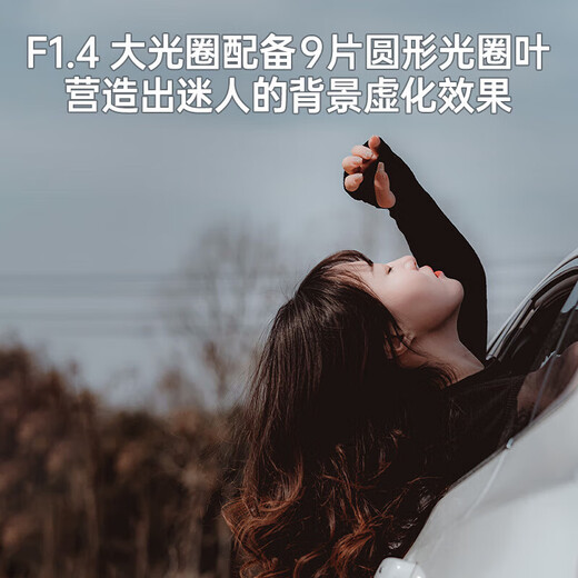 SIGMA 56mm F1.4 DC DN Contemporary half-frame large aperture wide-angle fixed focus SIGMA 56 1.4 portrait close-up street photography scenery mirrorless camera lens Nikon Z mount official standard main picture accessories + 0 yuan limited time upgrade package one