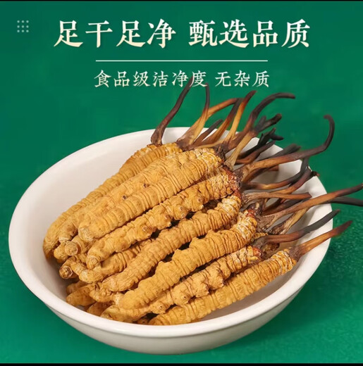 Cordyceps sinensis, los cordyceps de gran altitud en las áreas tibetanas son asequibles para el uso de autoego, regalos navideños, cajas de regalo, 3 palos/gramos (50 palos de regalo)