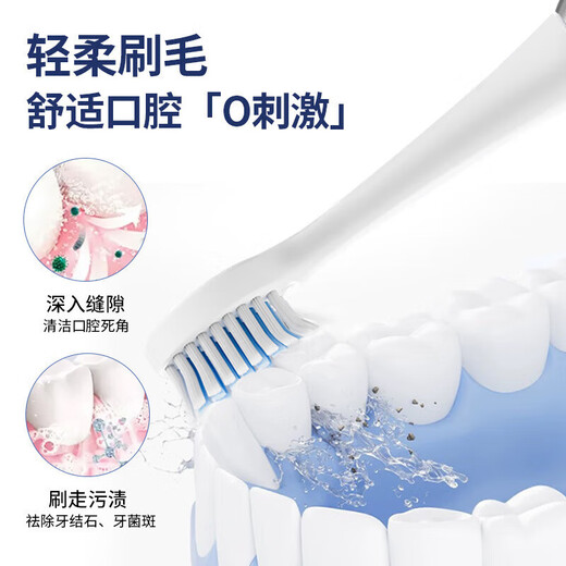 Electric toothbrush for adults, rechargeable, fully automatic, sonic, soft-bristled, waterproof, for men and women, couple set, pink, with 6 brush heads