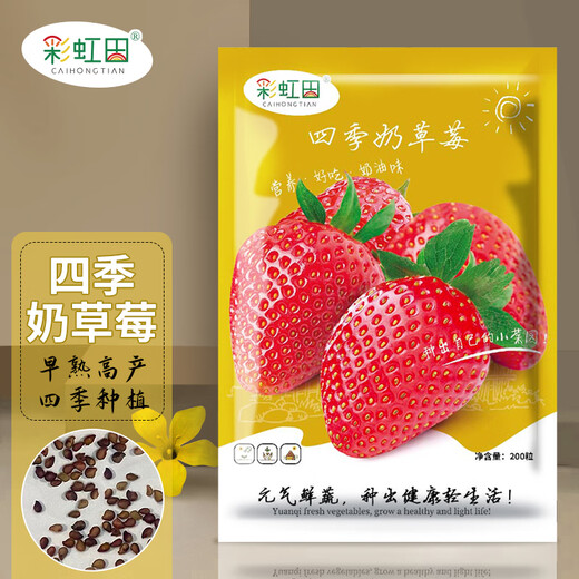 Strawberry seed cream strawberry seedlings for planting indoor and outdoor balcony vegetables and fruits potted flower seeds Dandong Spring Four Seasons Rainbow Field Four Seasons Milk Strawberry Seeds 150 capsules