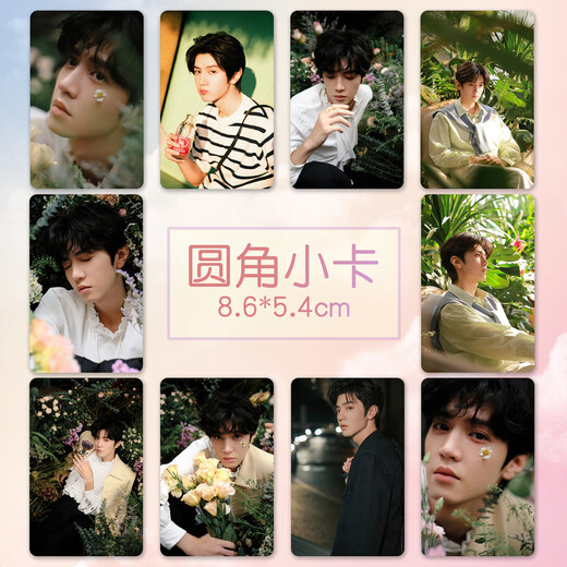 Qian Dejun Chen Zheyuan small card New celebrity peripheral high-definition coated paper card custom-laminated small photo set of 10 D (small card) rounded corner small card + card film 10 pieces